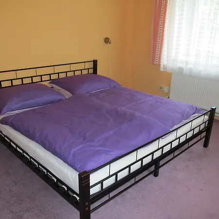 Apartement Mergl * קרלובי וארי